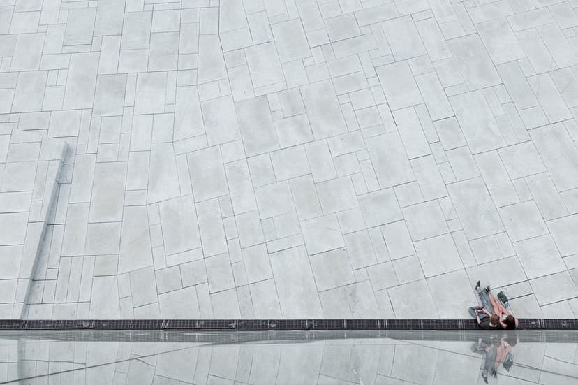 Robust Project Management's image