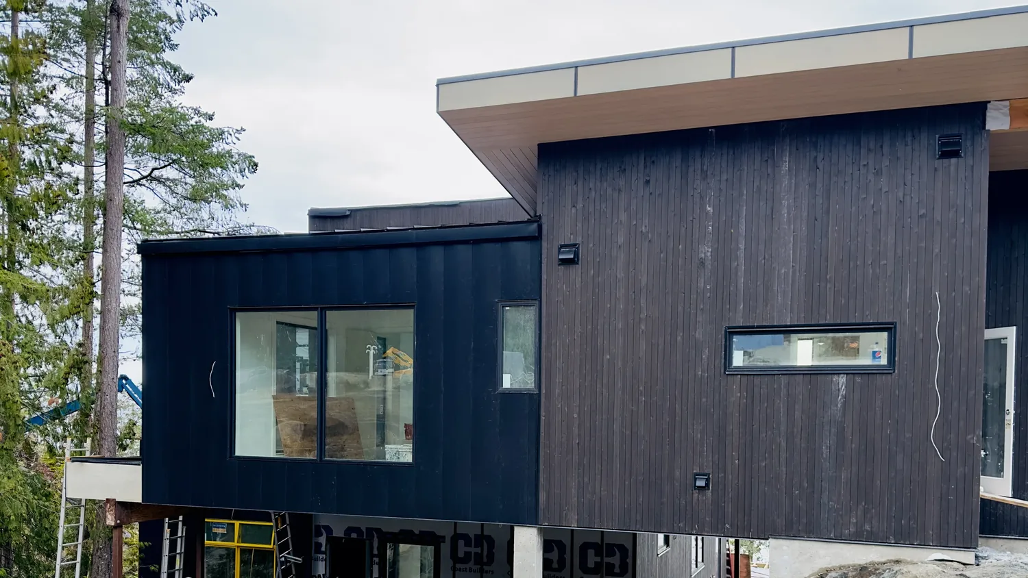 Dark board siding on a modern elevation